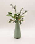 Botanical Diffuser ~ Forest