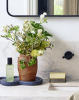 Botanical Interior Scent ~ Forest