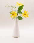 Botanical Diffuser ~ Field