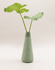 Botanical Diffuser ~ Forest