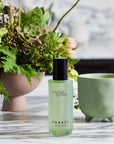 Botanical Interior Scent ~ Forest