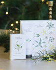 Christmas DUET ~ Mandarin, Lemon Myrtle & Orange Peel